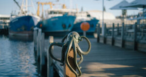 Photo of an octopus toy in a marina.